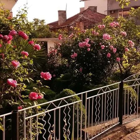 Pepina * Obzor