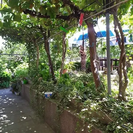 Pepina Къща за гости